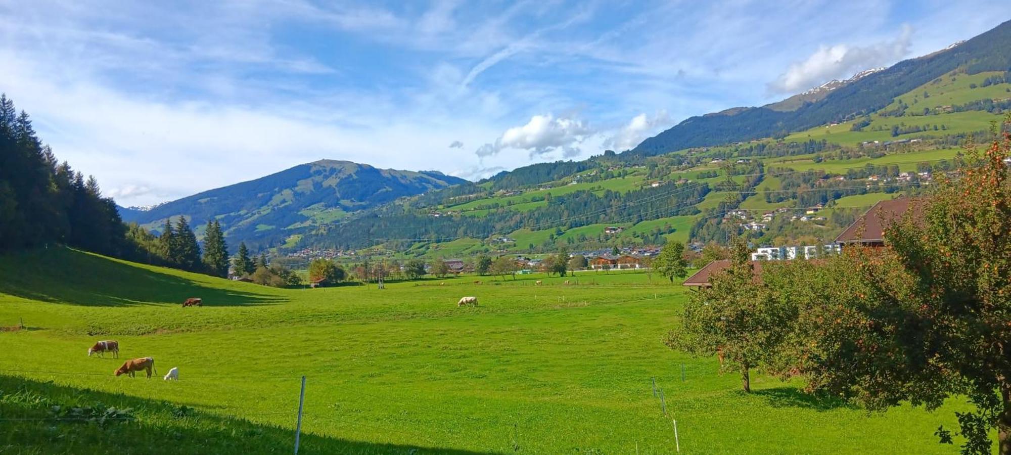 Sonnberg * Mittersill